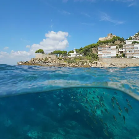 House In Roses With Waterfront Views * Montjoi