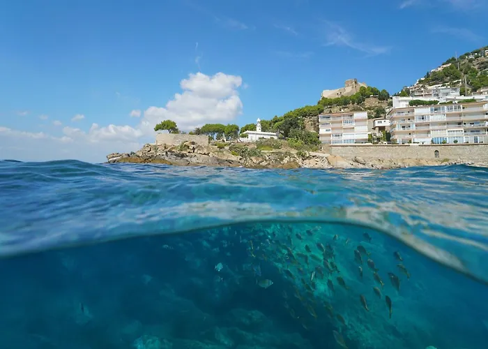 House In Roses With Waterfront Views * Montjoi